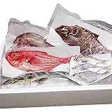 ざこばの朝市 大阪市 中央卸売市場 直送 鮮魚セット おまかせ 市場直送 新鮮 刺身