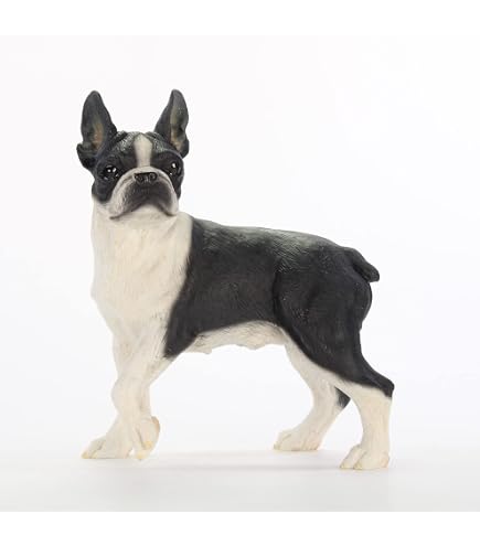 Amazon.co.jp: Veronese Design 2 5/8インチ ボストンテリア 子犬 樹脂