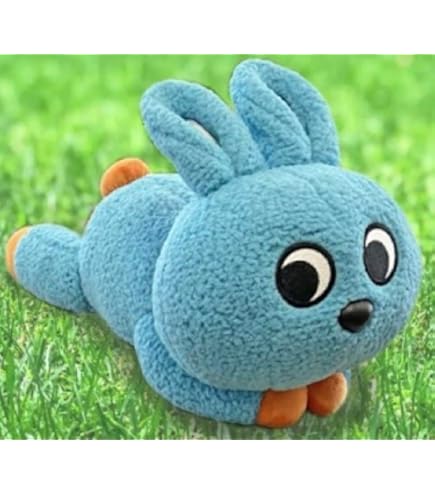 もころん 41lSXK42pGL._UF894,1000_QL80_.jpg