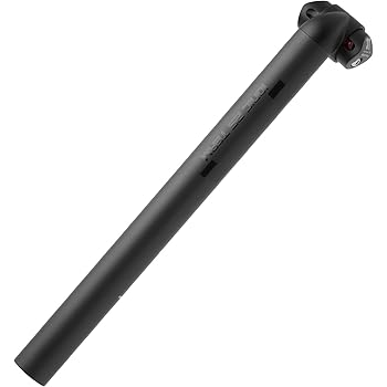 31.6 300mm （TNI/ティーエヌアイ)（自転車用シートポスト） シートピラー LW168 (カーボン)