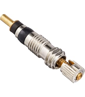 Amazon | Schwalbe (シュワルベ) TIRE BOOSTER タイヤブースター