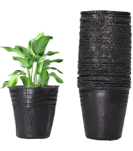 Amazon | 合体くん タキイ根巻防止連結ポリ鉢 10.5cm 黒 20鉢/1枚