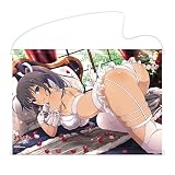 シノビマスター 閃乱カグラ NEW LINK B2タペストリー 焔(乳籍祭)