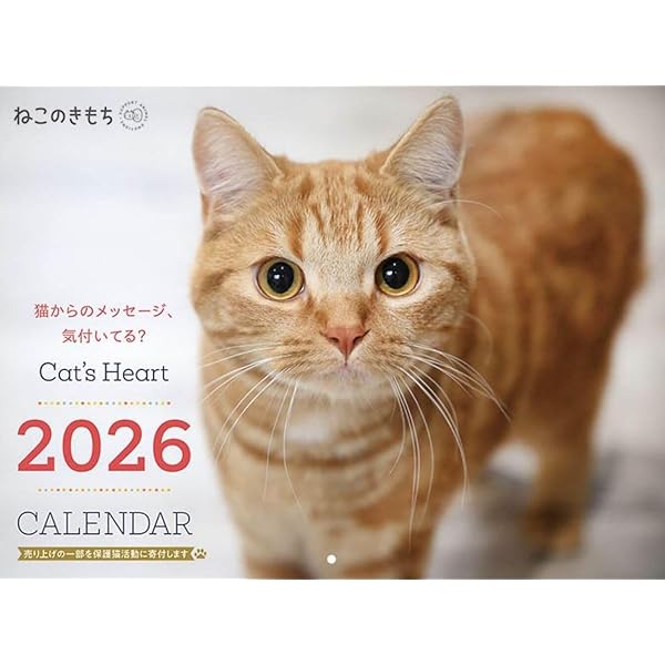 Amazon.co.jp: 夜は猫といっしょ 2026 CALENDAR : キュルZ: 本
