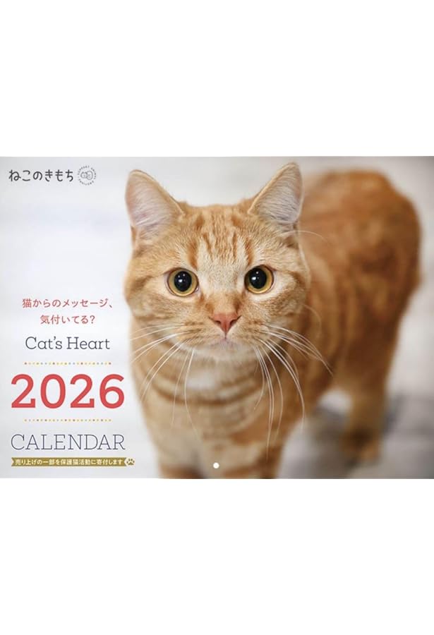 ねこのきもち大判カレンダー2024 | ねこのきもち特別編集 |本 | 通販
