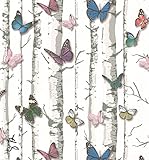 Blooming壁: 3d Birchツリー壁壁画壁紙、20.8 in32.8 Ft = 57 Sq Ft /ロール、Looks Real Up 。Birch 20.5" x 396"=57 Sq. 