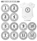 Months In Motion - Baby Month Stickers - Monthly Baby Sticker for Boys or Girls - Arrows (1072) [並行輸