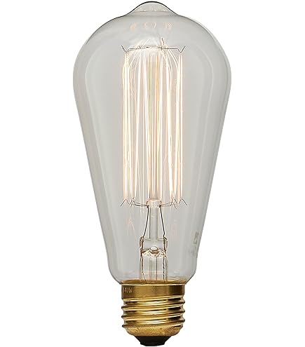 Amazon | 舶用電球 ヴィンテージランプ 白熱電球タイプ 40W バルブ形状  