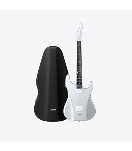 Amazon | AeroBand Guitar、取り外し可能なフレットボード付きトラベル