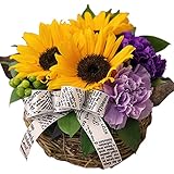 遅れてごめんね　母の日　ギフト ひまわり ムーンダスト アレンジ サンアンドムーン