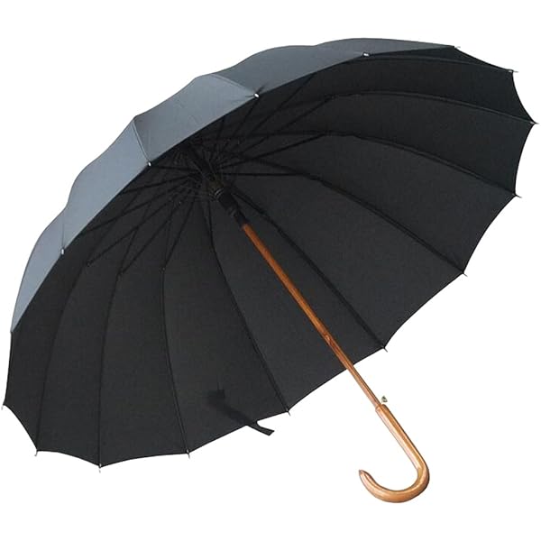 Amazon | Davek SOLO New York ニューヨーク 高級雨傘 ブラック