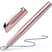 Chiyo　エーデルシュタインインク＋ペンシース DSPIAE 関節強化ペン(BP-SP) 返品種別B : Joshin web - 通販