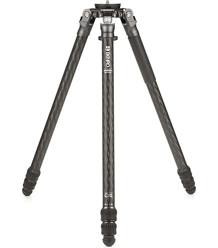 Amazon | GITZO GITZO ﾏｸﾞﾈｼｳﾑ雲台 G1276M | ジッツオ(GITZO) | 照明