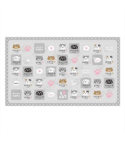 Amazon.co.jp: クロネコヤマトミニカー・遊べるレジャーシートセット