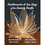 Nudibranchs & Sea Slugs of the Eastern Pacific