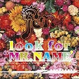 look for �gMR.NAME�h(ORANGE-TYPE)