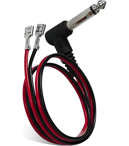 Amazon.co.jp: Bugera POWER SOAK PS1 パッシブ 100 ワット パワー