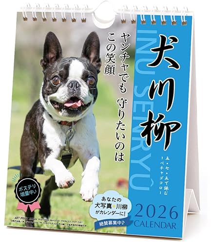 Amazon | ［公式］PICTWANカレンダー2026 【L判】ボストン・テリア