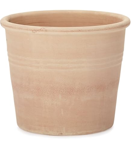 2個 素焼き鉢　植木鉢　テラコッタ鉢　ガーデニング寄せ植え Amazon.co.jp: 2個素焼き 壺型テラコッタ鉢 多肉植物鉢 植木鉢