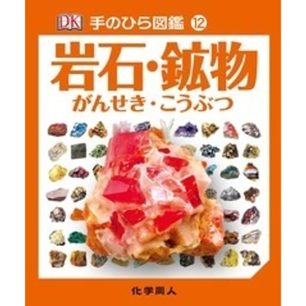 岩石と鉱物―手のひらに広がる岩石・鉱物の世界 (ネイチャーガイド