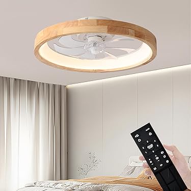 Amazon.co.jp 売れ筋ランキング: シーリングファン の中で最も