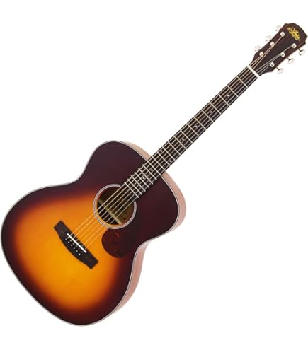 aria ドレッドノート　アコースティックギター Amazon.co.jp: Aria Dreadnought アリア ドレッドノートシリーズ