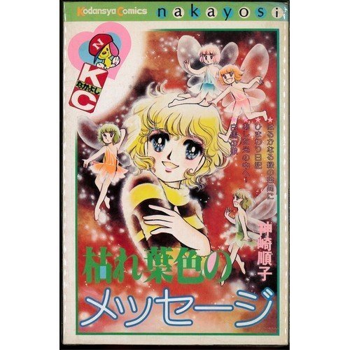 『枯れ葉色のメッセージ』