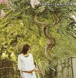 ���݂̂��Ȃ��x��