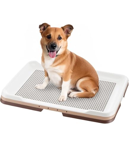 Amazon.co.jp: wanfoo Premium Dog (Rabbit Meat & Poultry Type