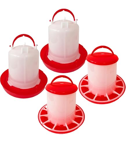 Amazon.co.jp: 餌入れ 餌やり ひよこ 家禽給水器 餌箱 チキン