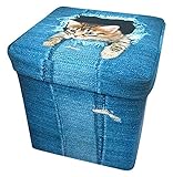 アニマル スツール / ネコデニム QMM-0032