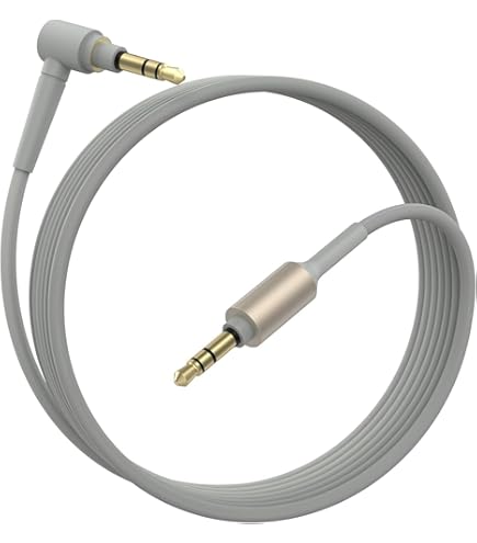 Amazon | USB-C充電器充電ケーブル 2本セット Sony WH-1000XM4