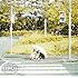 パラボラヴァ(初回限定盤)