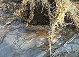 ルートラップシート 黒 20A(0.4mm厚)幅210cm×100ｍ 植物の根域を制限するポリエステル１００％長繊維不織布シート