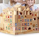 XDOBO木製Wonders Backyard Animals Domino Adventures 100個木製ドミノラリー建物キットKids Game Play Racing教育玩具子供
