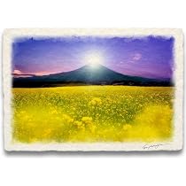 61ufAipZUOL._AC_UL210_SR210,