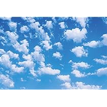 61ufF9wG0nL._AC_UL210_SR210,