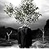 9mm Parabellum Bullet「Revolutionary」