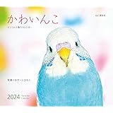 カレンダー2024 かわいんこ インコと小鳥のカレンダー（月めくり/壁掛け） (ヤマケイカレンダー2024)