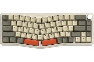 AKS068 ゲーミングキーボード アリスレイアウト 68キーアンチゴーストキー ガスケットマウント ホットスワップ可能 人間工学 南向きのRGBバックライト 両側RGBライト Type-C有線 Windows Vista/XP/7/8/10/11、