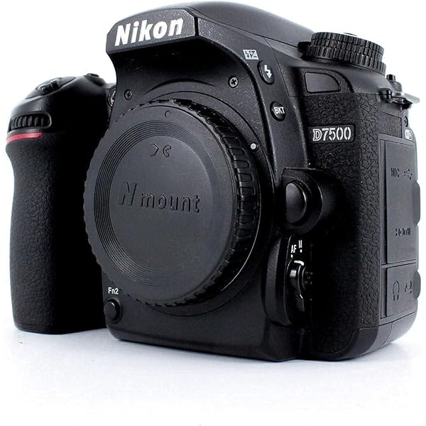 Amazon.co.jp: 今すぐ使えるかんたんmini Nikon D7500 基本&応用 撮影
