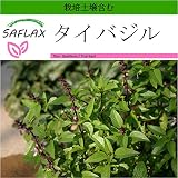 SAFLAX - タイバジル - 200 個の種。- より良い栽培のための土壌を含みます - Ocimum basilicum
