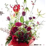 開店祝いの花 花華やか祝いアレンジ 開店祝いの花 お祝い札付 (開店)
