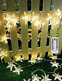 KEYNICE イルミネーションライト クリスマスツリー LED 飾りライト 電池式 室内 屋外 20led 電球色 5M 8パターン点灯モード IP65防水 ヒトデ型