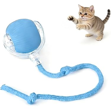 Amazon.co.jp 売れ筋ランキング: 猫用ボール の中で最も人気のある商品です