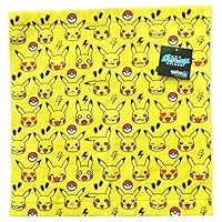 ポケモン 入園祝いで男の子に人気 安くてかっこいいミニタオル 予算1 000円 のおすすめプレゼントランキング Ocruyo オクルヨ