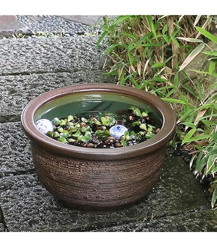 Amazon.co.jp: 信楽焼 メダカ鉢 睡蓮鉢 スイレン鉢 金魚鉢 13号松皮