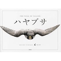 61urnm8tXTL._AC_UL210_SR210,