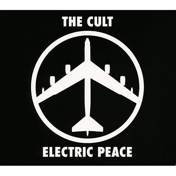 Amazon.co.jp: ソニック・テンプル: ミュージック