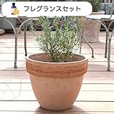 ハーブ栽培セット （ ローズマリー ＆ カモミール ）【 フレグランス 用】